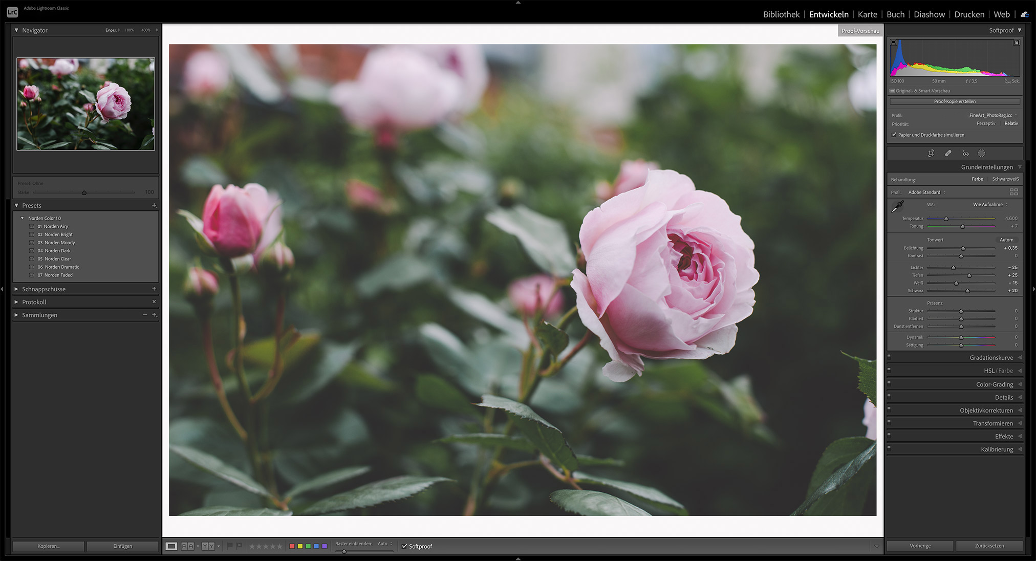 Softproof-Ansicht in Lightroom Classic