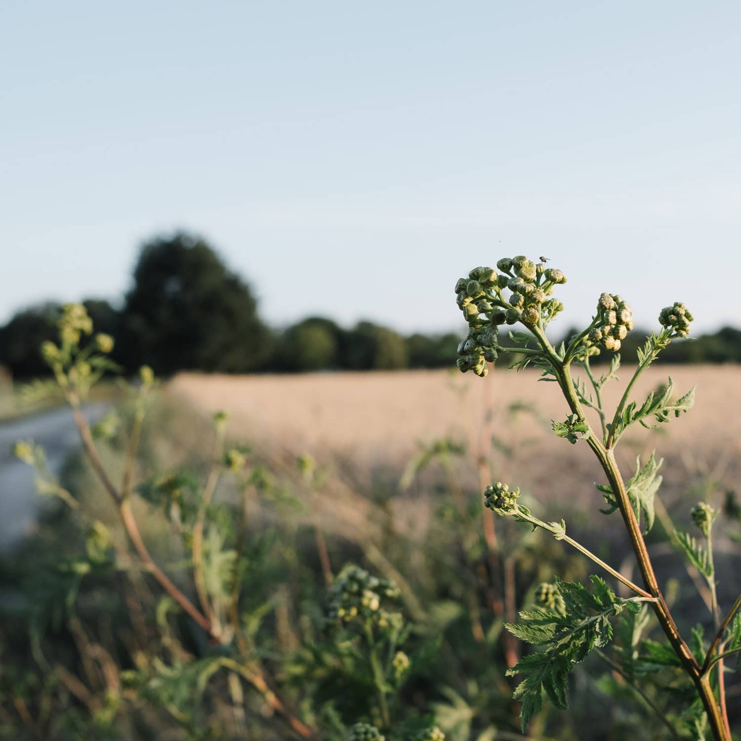 Lightroom installieren: So startest du stressfrei mit Lightroom Classic und CC