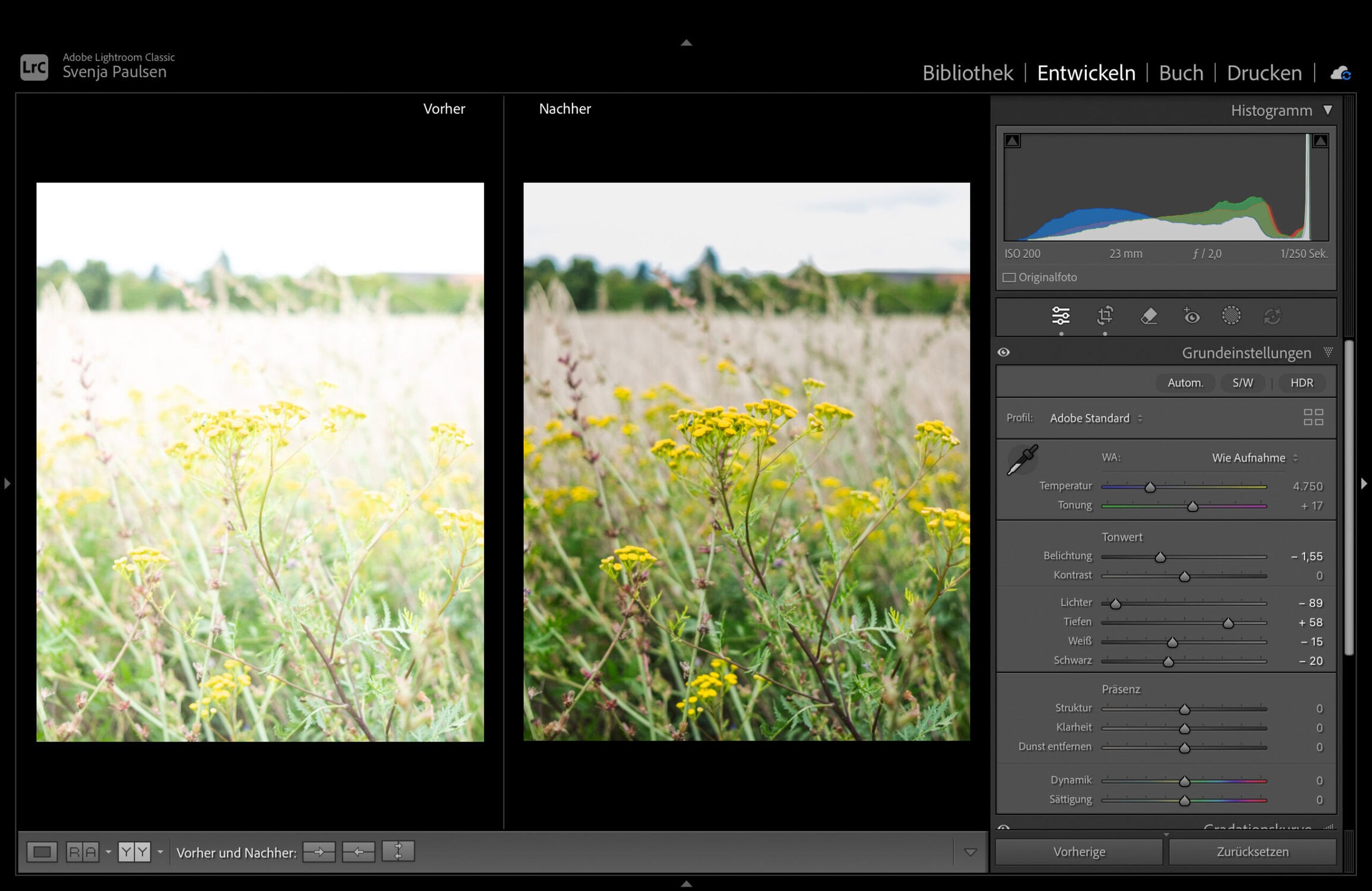 RAW-Bildbearbeitung mit Lightroom Classic