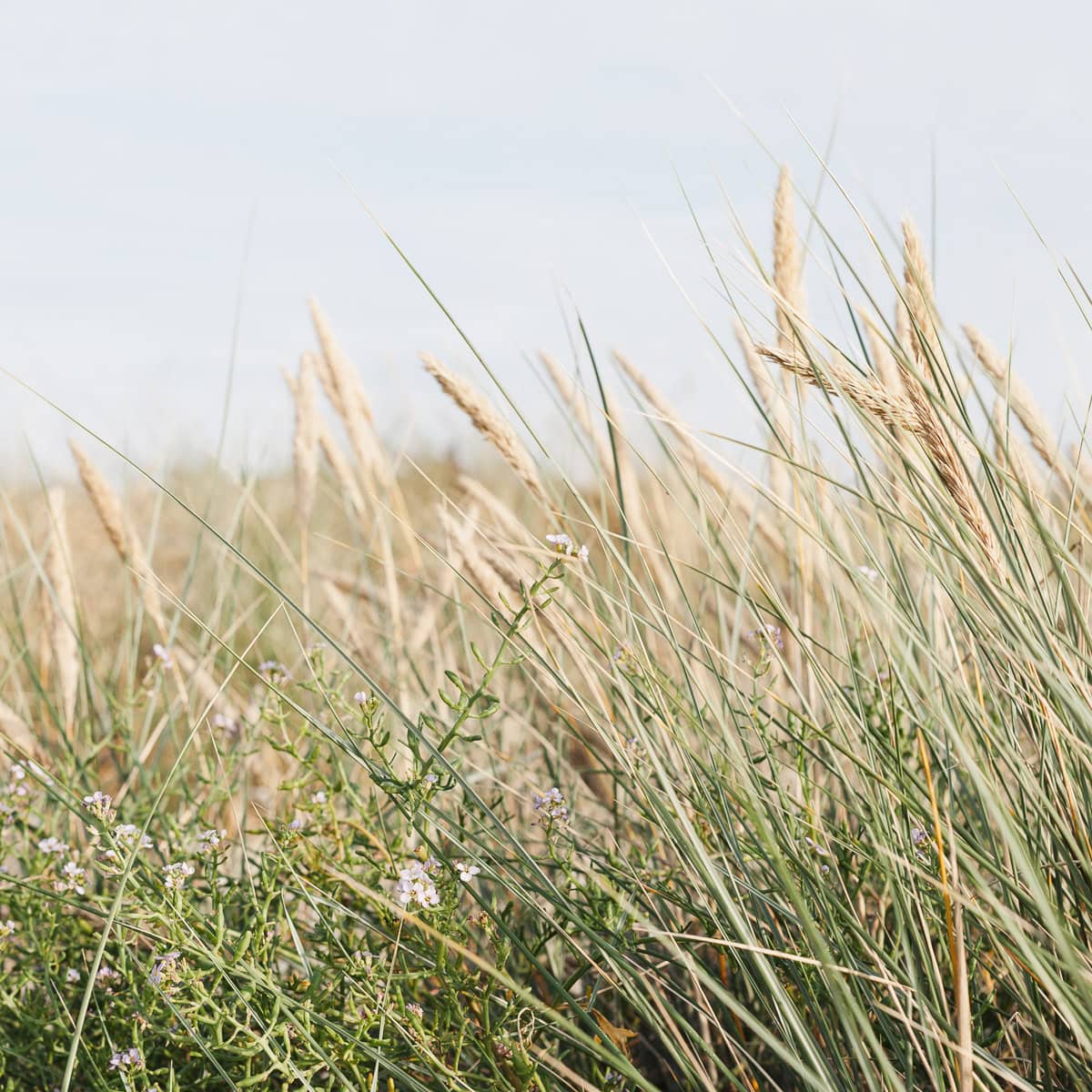 RAW vs. JPEG: Welches Format ist besser zum Fotografieren?