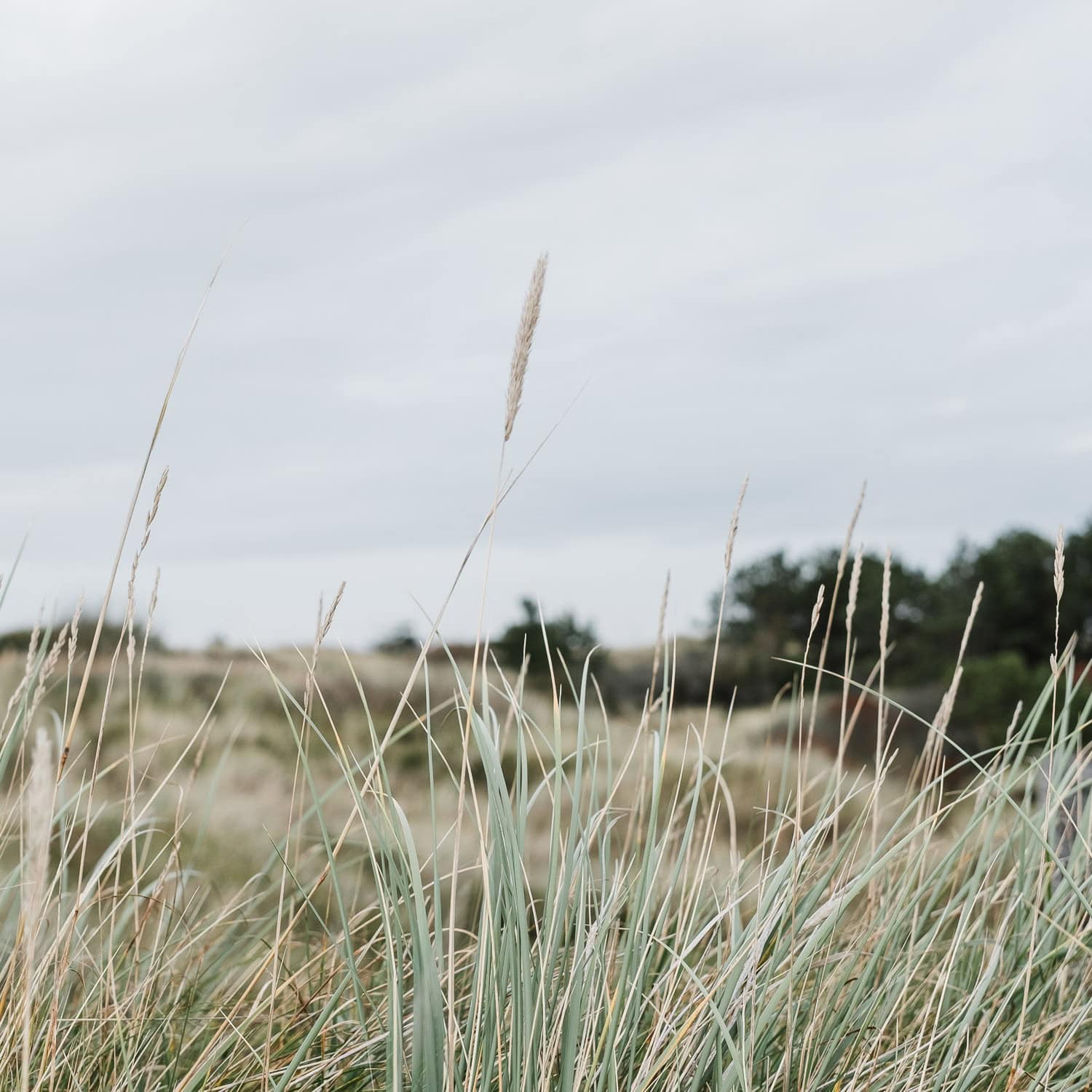 Was ist Lightroom – und was kann ich damit alles machen?